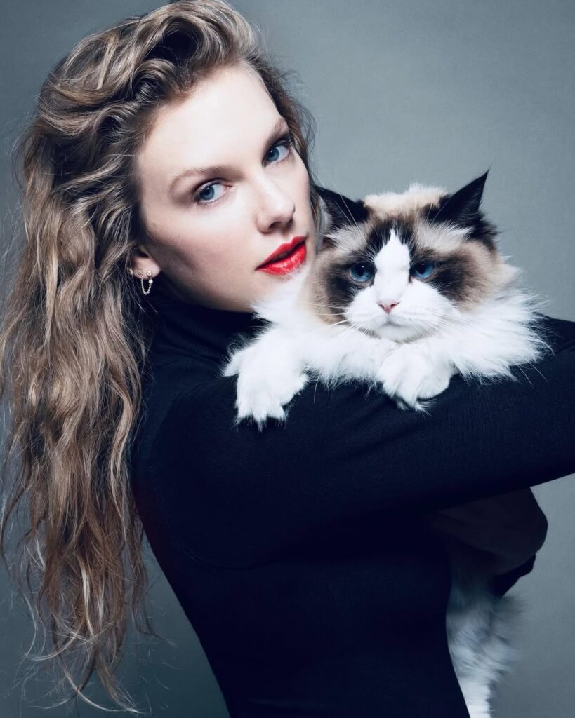 Taylor Swift Biography, Age, Net Worth, Songs, Boyfriend, Awards & More Like many of you I watched the debate tonight. If you havent already now is a great time to do your research on the issues at hand and the stances these candidates take on the topics that matter to